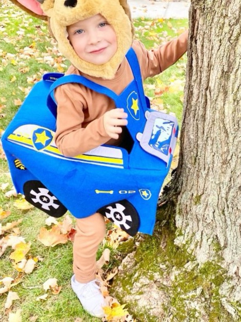 Pottery Barn- CHASE Paw Patrol